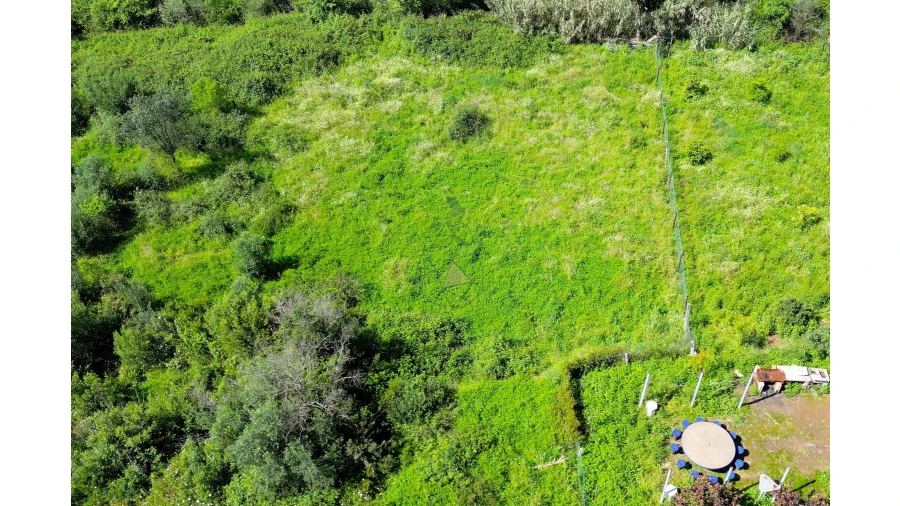 Terreno para Venda em Alferce Foto 16