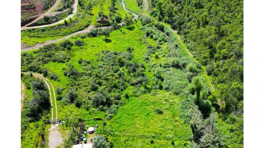 Terreno para Venda em Alferce Foto 18