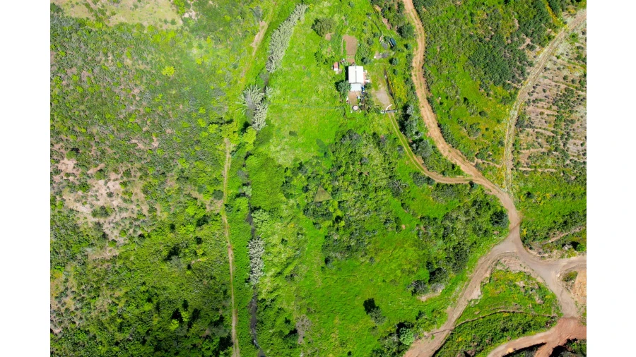 Terreno para Venda em Alferce Foto 21