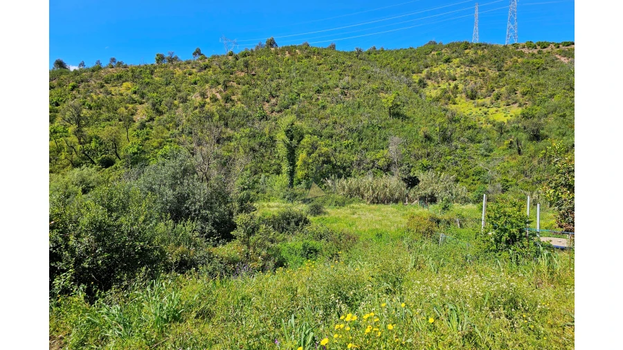 Terreno para Venda em Alferce Foto 11