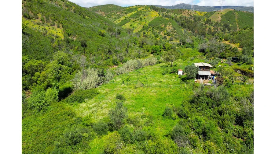 Terreno para Venda em Alferce Foto 9