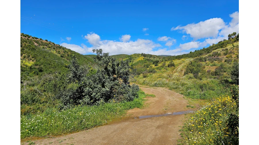 Terreno para Venda em Alferce Foto 3