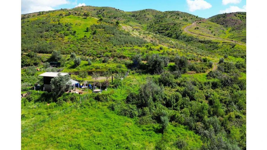 Terreno para Venda em Alferce Foto 15