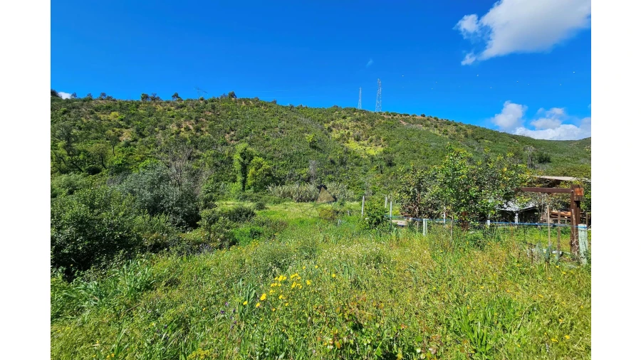 Terreno para Venda em Alferce Foto 12
