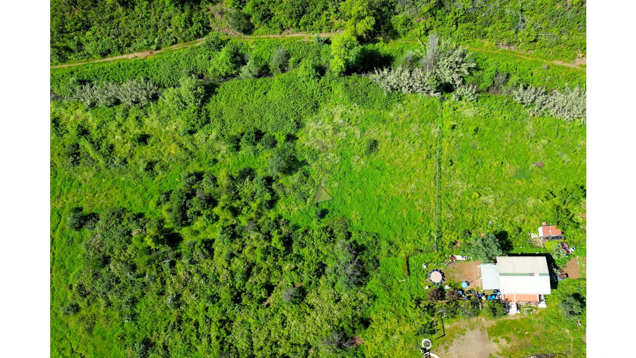 Terreno para Venda em Alferce Foto 19