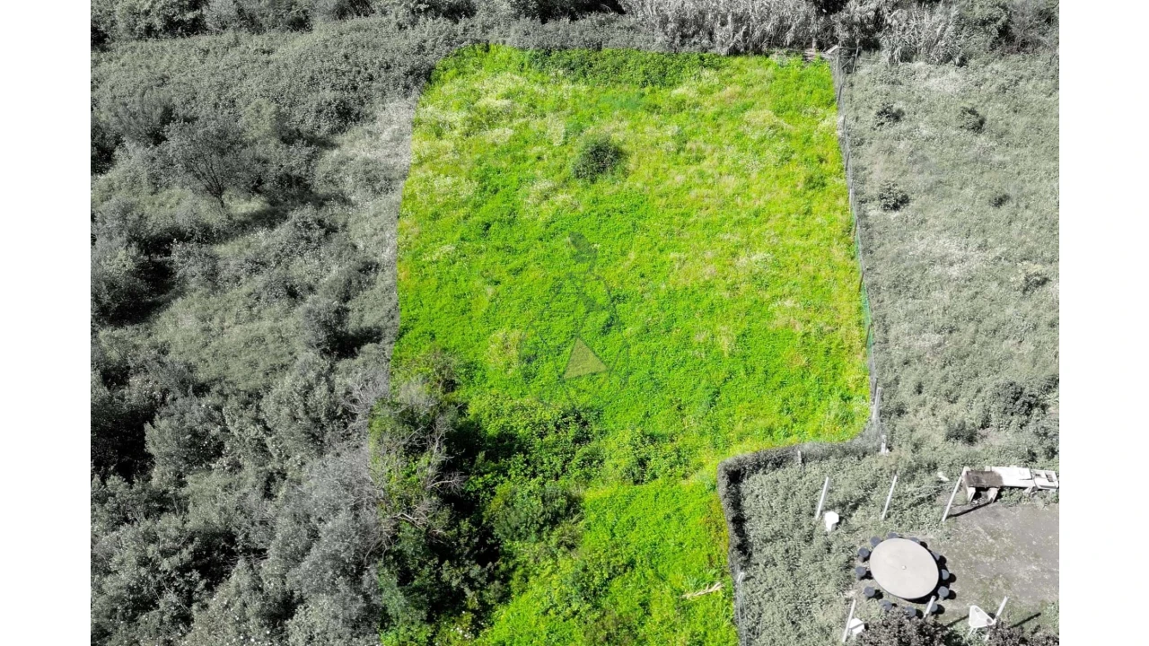 Terreno para Venda em Alferce Foto 5