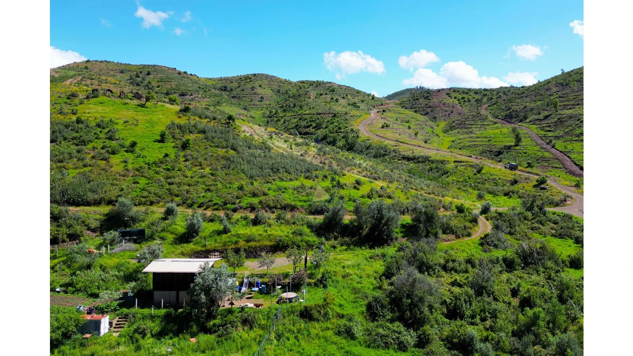Terreno para Venda em Alferce Foto 17
