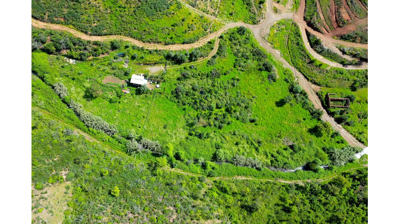 Terreno para Venda em Alferce Foto 2