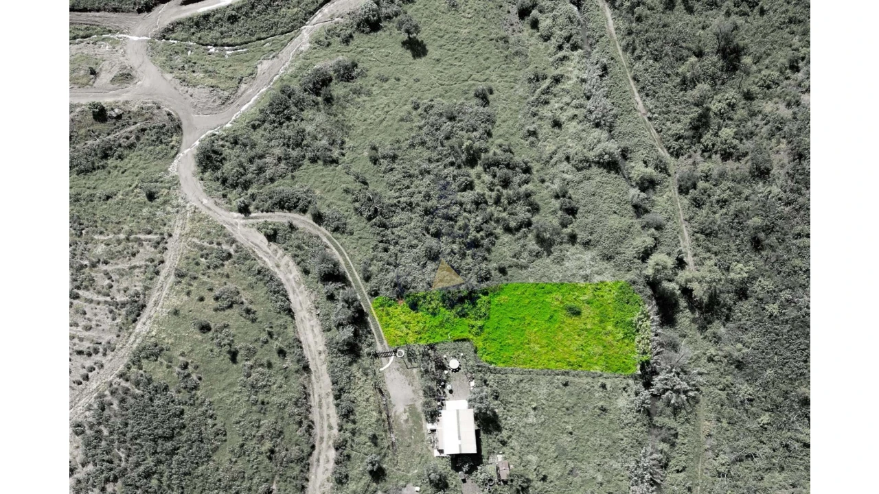 Terreno para Venda em Alferce Foto 4