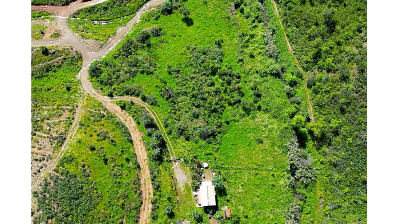 Terreno para Venda em Alferce Foto 20