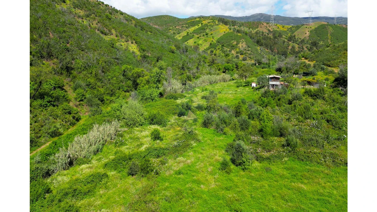 Terreno para Venda em Alferce Foto 8