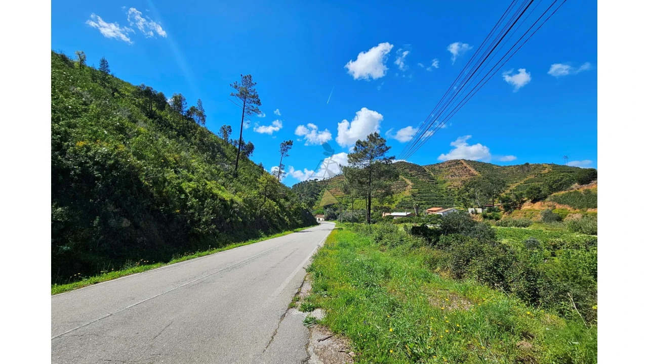 Terreno para Venda em Alferce Foto 23