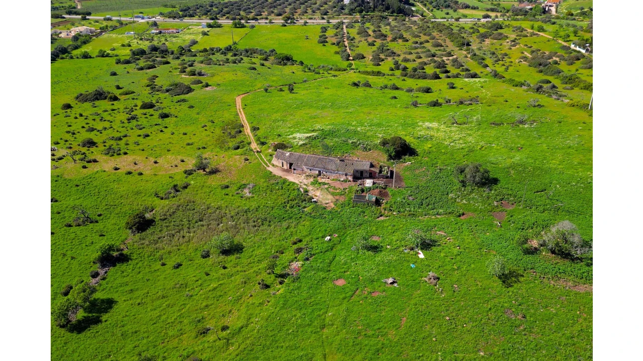 Quinta para Venda em Luz Foto 4