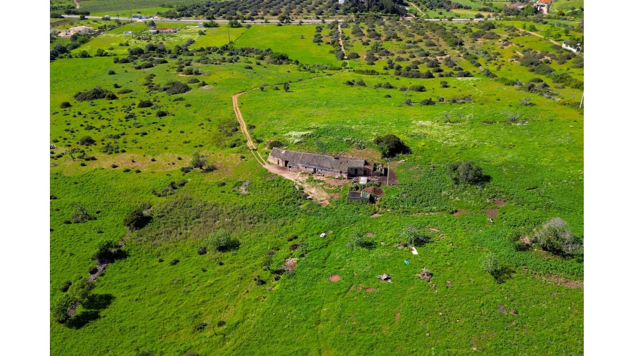Quinta para Venda em Luz Foto 4