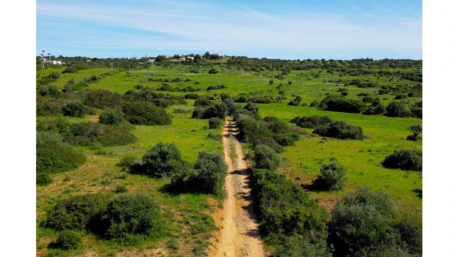 Quinta para Venda em Luz Foto 8