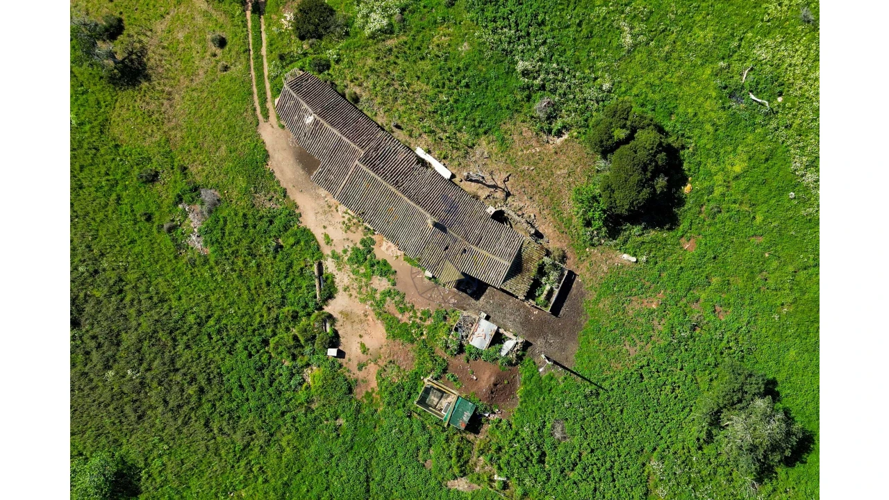 Quinta para Venda em Luz Foto 12