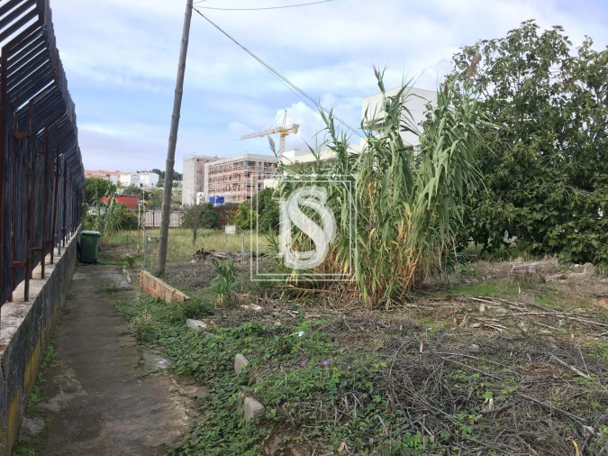 Terreno para Venda em Ajuda Foto 5