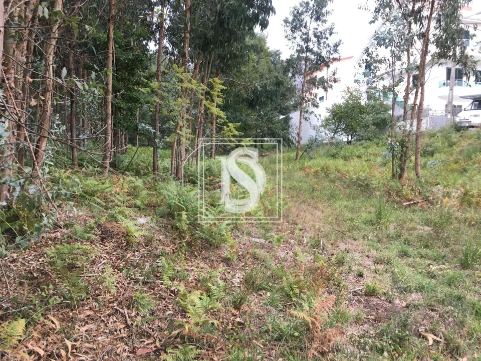 Terreno para Venda em Fânzeres e São Pedro da Cova Foto 8