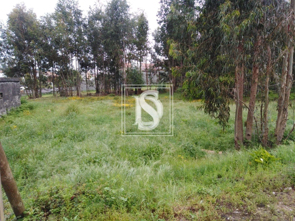 Terreno para Venda em Fânzeres e São Pedro da Cova Foto 19