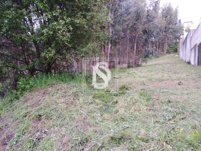 Terreno para Venda em Fânzeres e São Pedro da Cova Foto 22