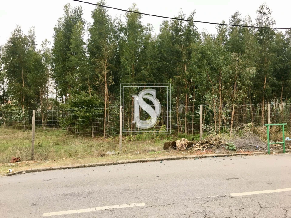 Terreno para Venda em Fânzeres e São Pedro da Cova Foto 4