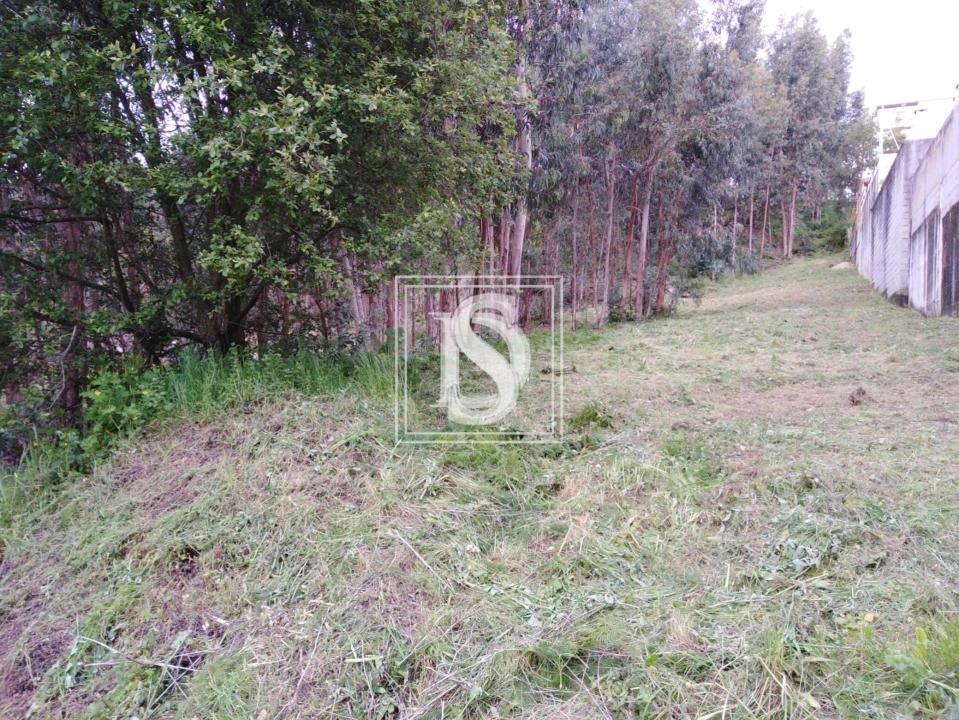 Terreno para Venda em Fânzeres e São Pedro da Cova Foto 14