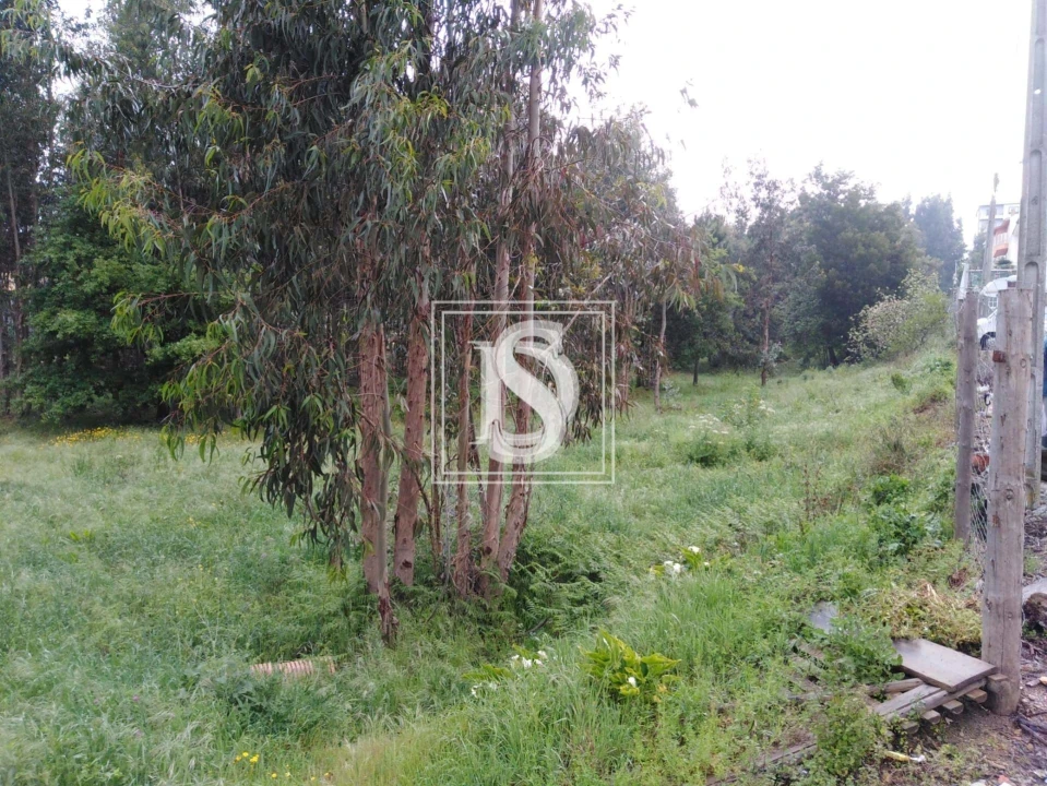 Terreno para Venda em Fânzeres e São Pedro da Cova Foto 16
