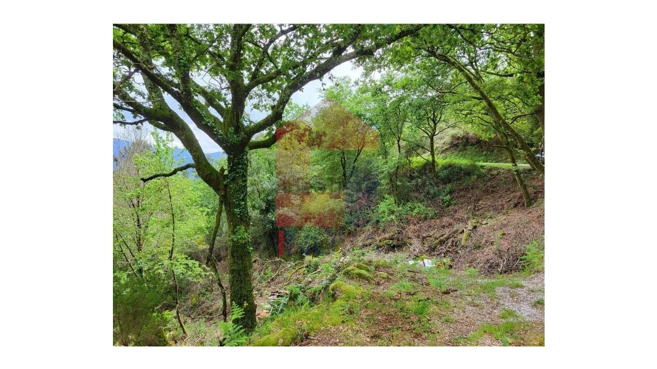 Terreno para Venda em Valdreu Foto 5