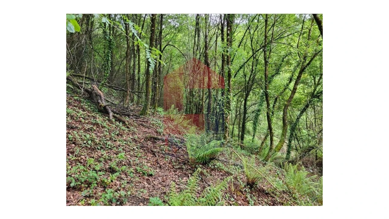 Terreno para Venda em Valdreu Foto 3