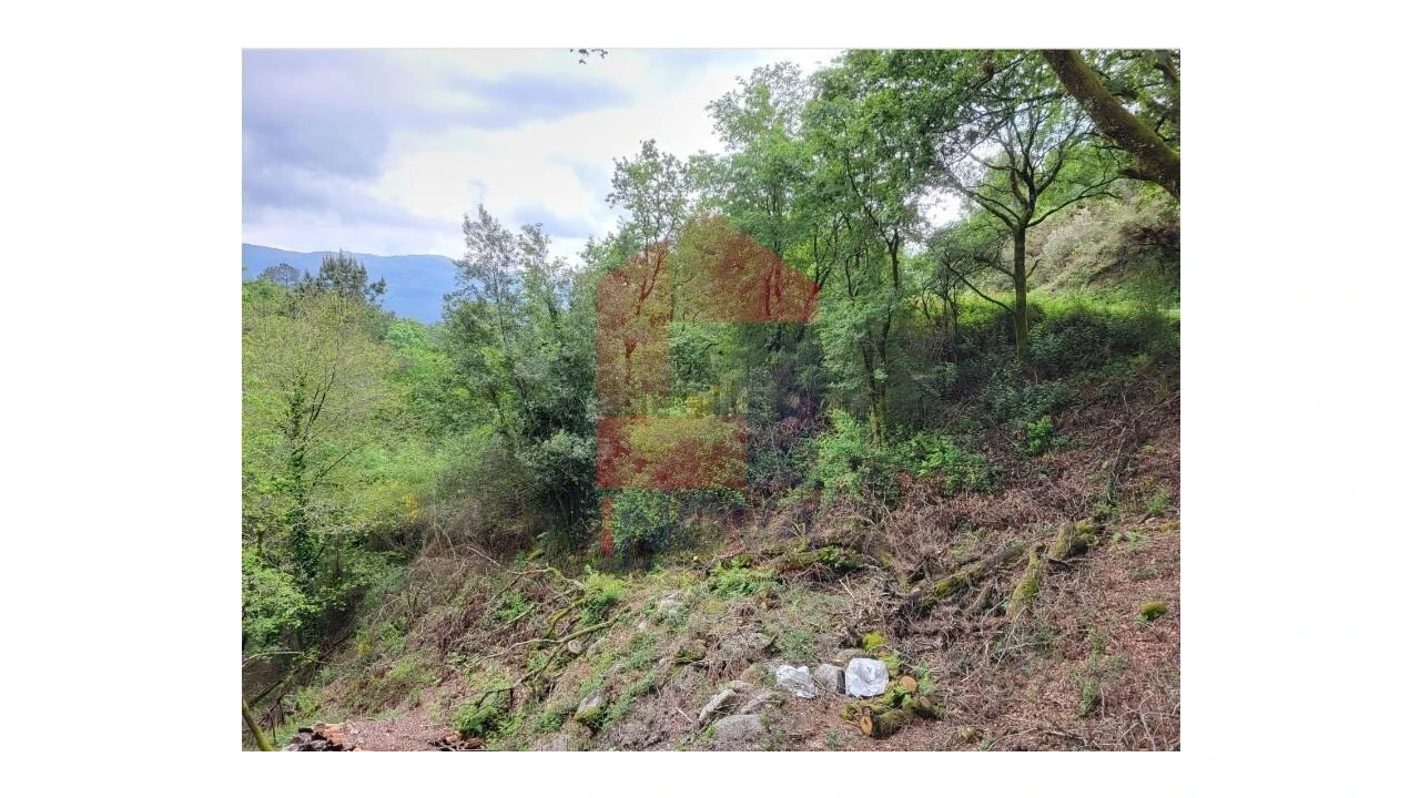 Terreno para Venda em Valdreu Foto 4