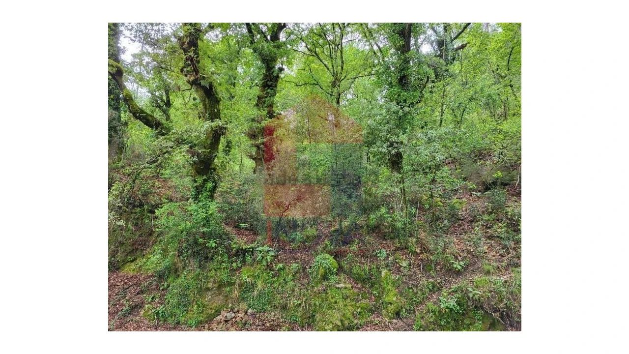 Terreno para Venda em Valdreu Foto 2