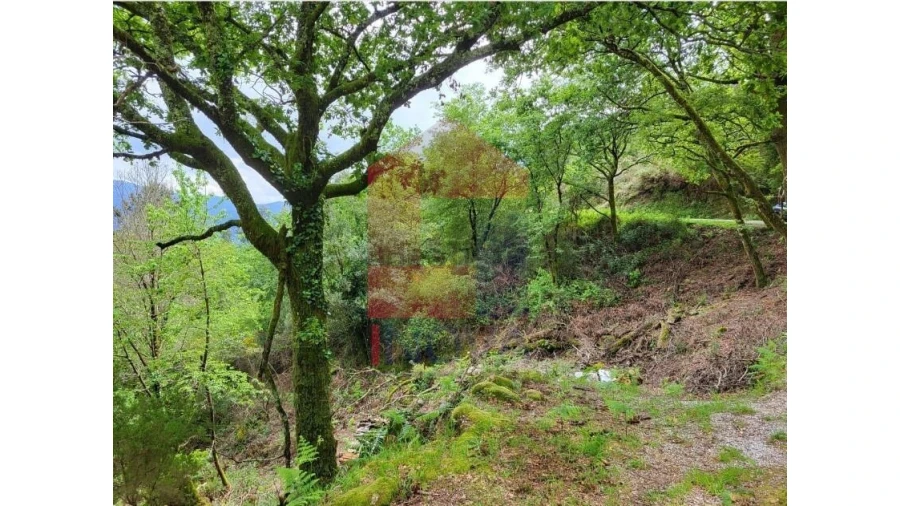 Terreno para Venda em Valdreu Foto 5