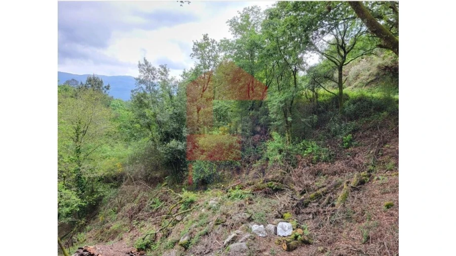 Terreno para Venda em Valdreu Foto 4