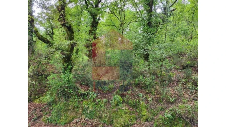 Terreno para Venda em Valdreu Foto 2