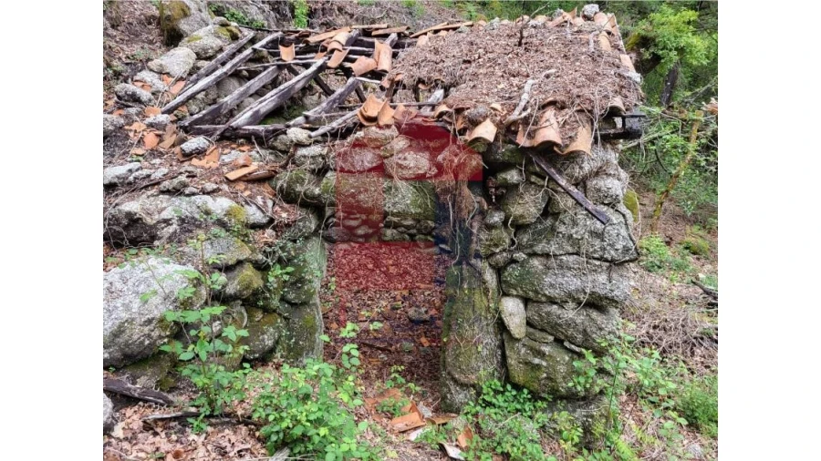 Terreno para Venda em Valdreu Foto 6