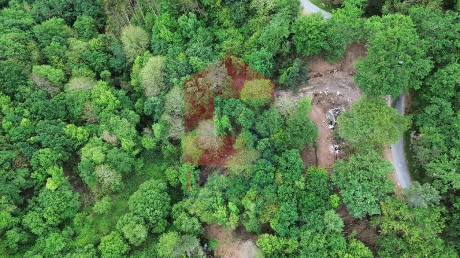 Terreno para Venda em Valdreu Foto 9