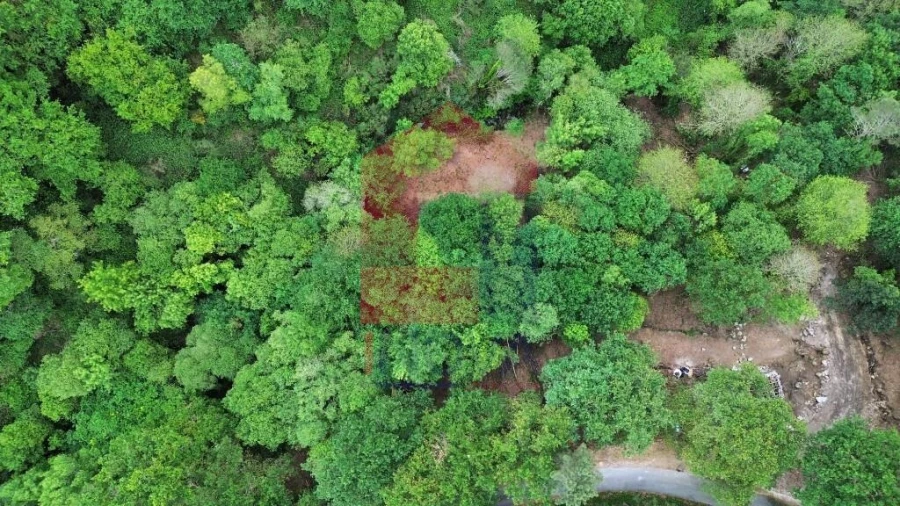 Terreno para Venda em Valdreu Foto 10