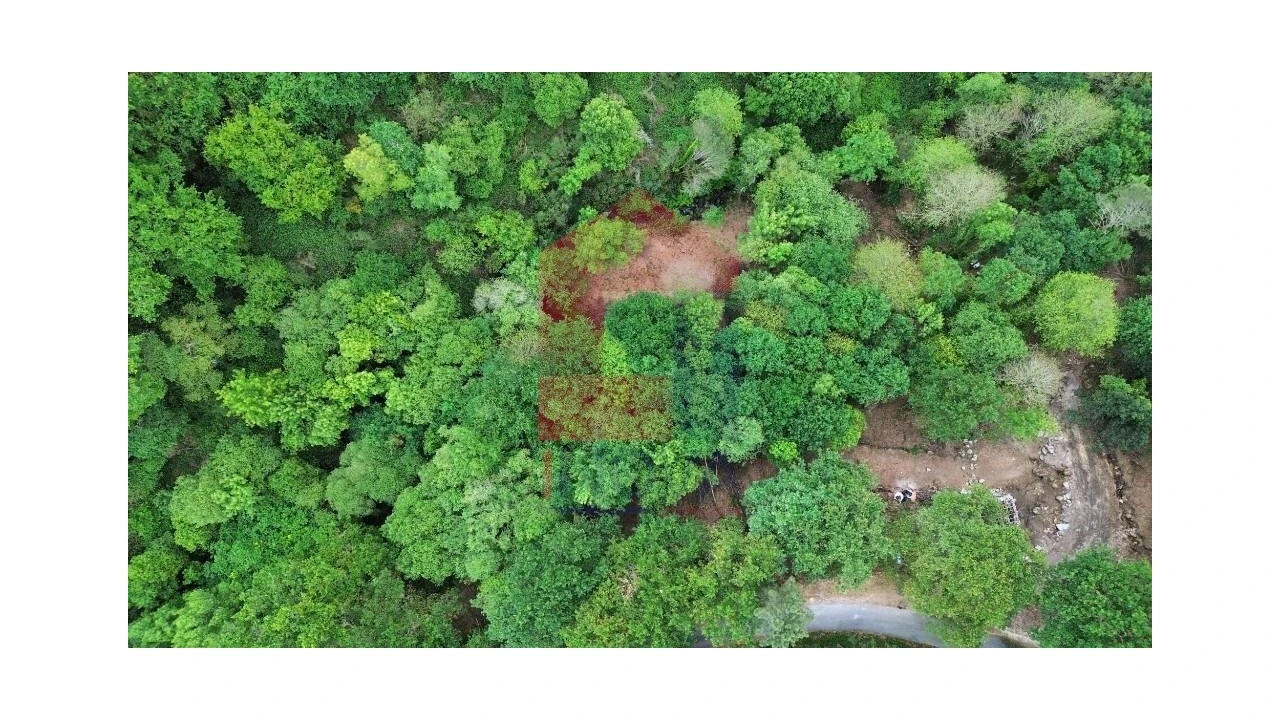 Terreno para Venda em Valdreu Foto 10