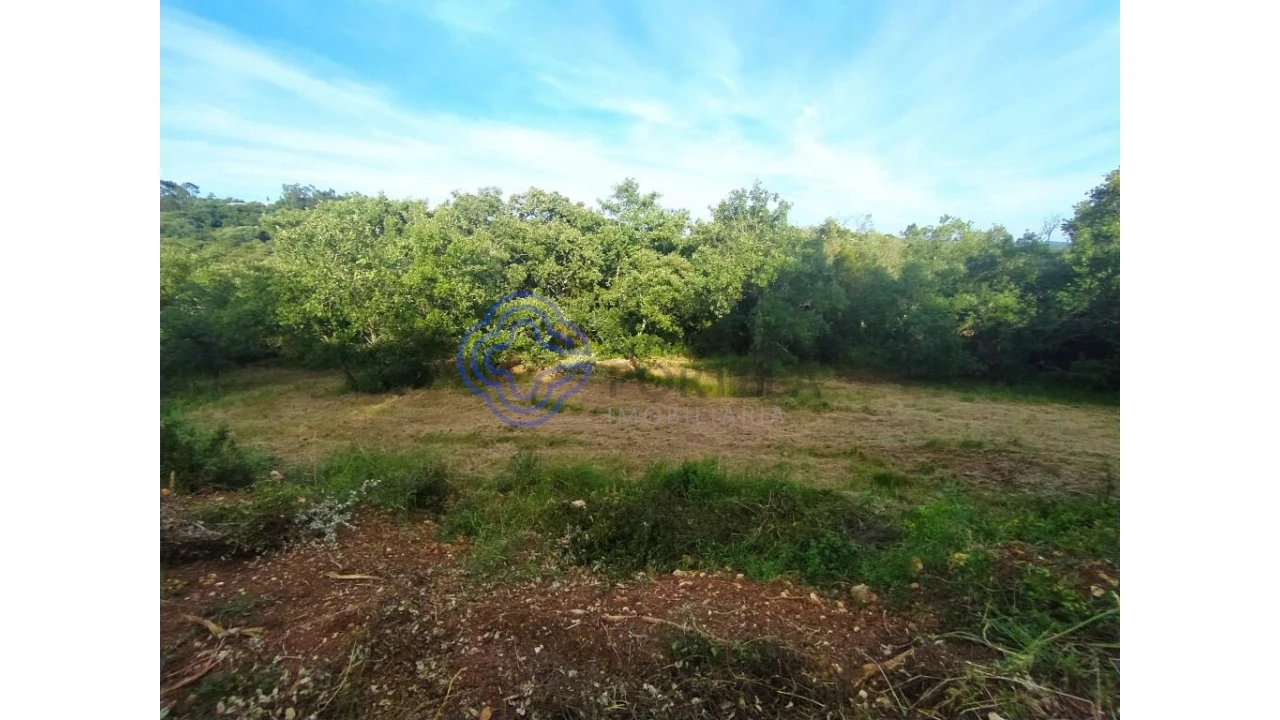 Moradia para Venda em Além da Ribeira e Pedreira Foto 9