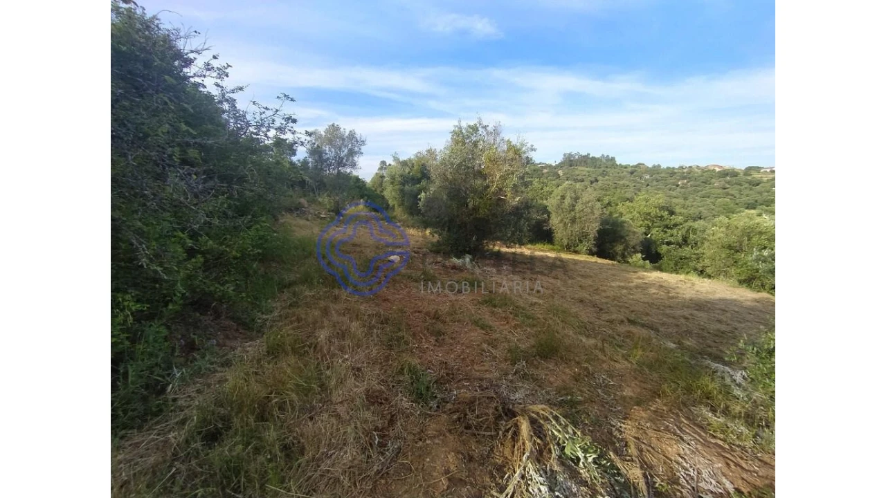 Moradia para Venda em Além da Ribeira e Pedreira Foto 12