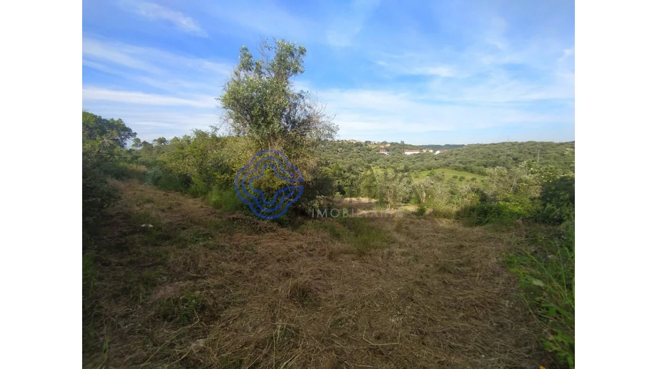 Moradia para Venda em Além da Ribeira e Pedreira Foto 14