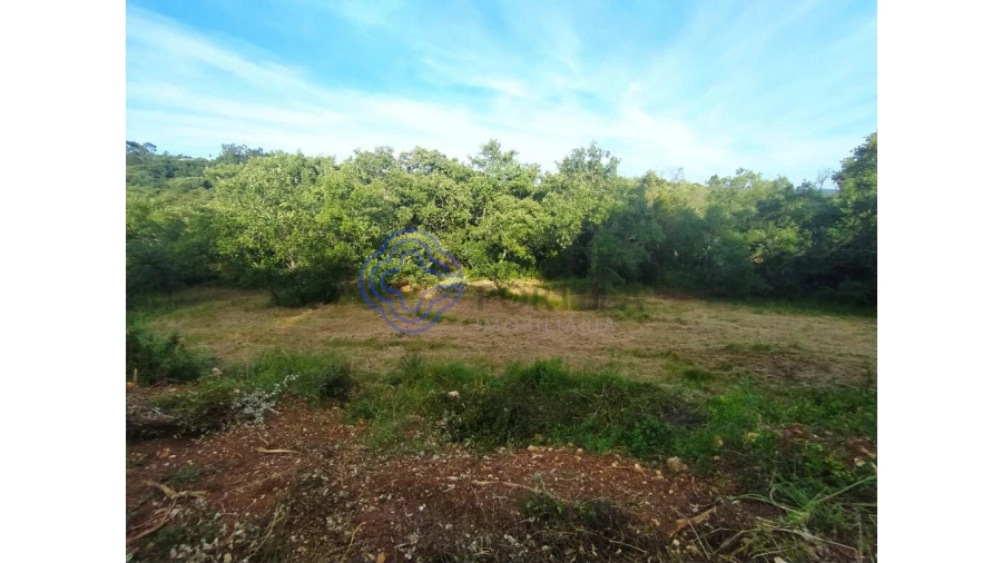 Moradia para Venda em Além da Ribeira e Pedreira Foto 9