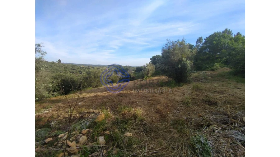 Moradia para Venda em Além da Ribeira e Pedreira Foto 8
