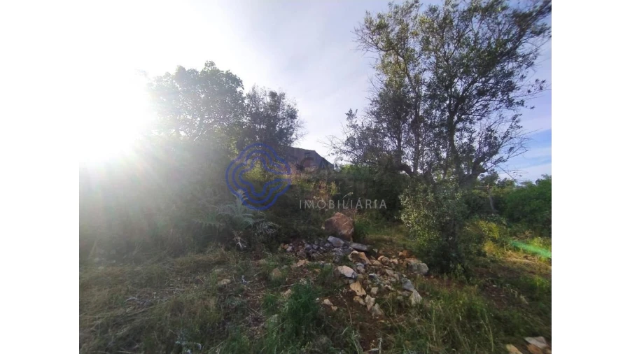 Moradia para Venda em Além da Ribeira e Pedreira Foto 15