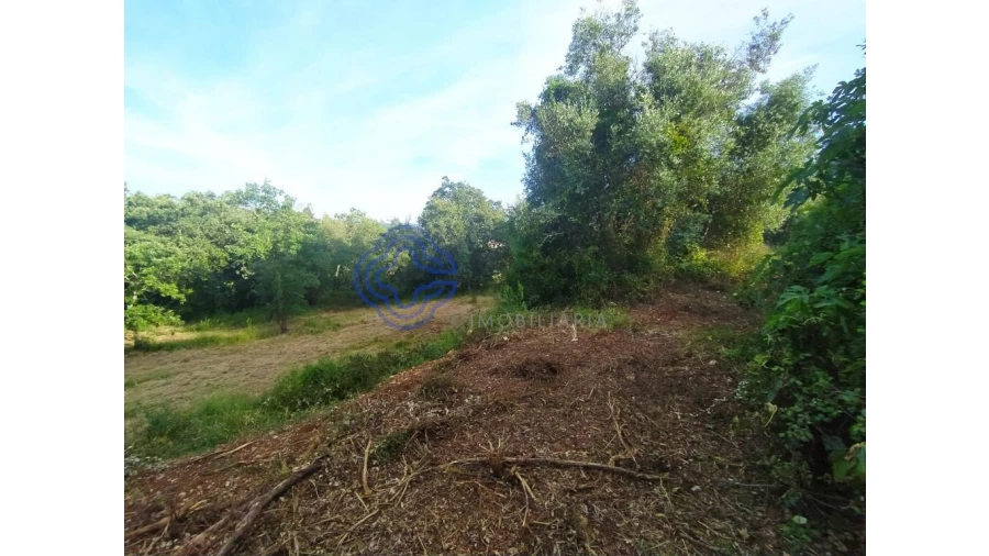 Moradia para Venda em Além da Ribeira e Pedreira Foto 11