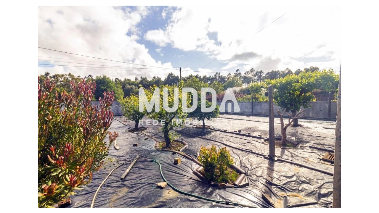 Moradia T4 para Venda em Ovar, São João, Arada e São Vicente de Pereira Jusã Foto 46