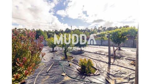 Moradia T4 para Venda em Ovar, São João, Arada e São Vicente de Pereira Jusã