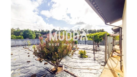 Moradia T4 para Venda em Ovar, São João, Arada e São Vicente de Pereira Jusã
