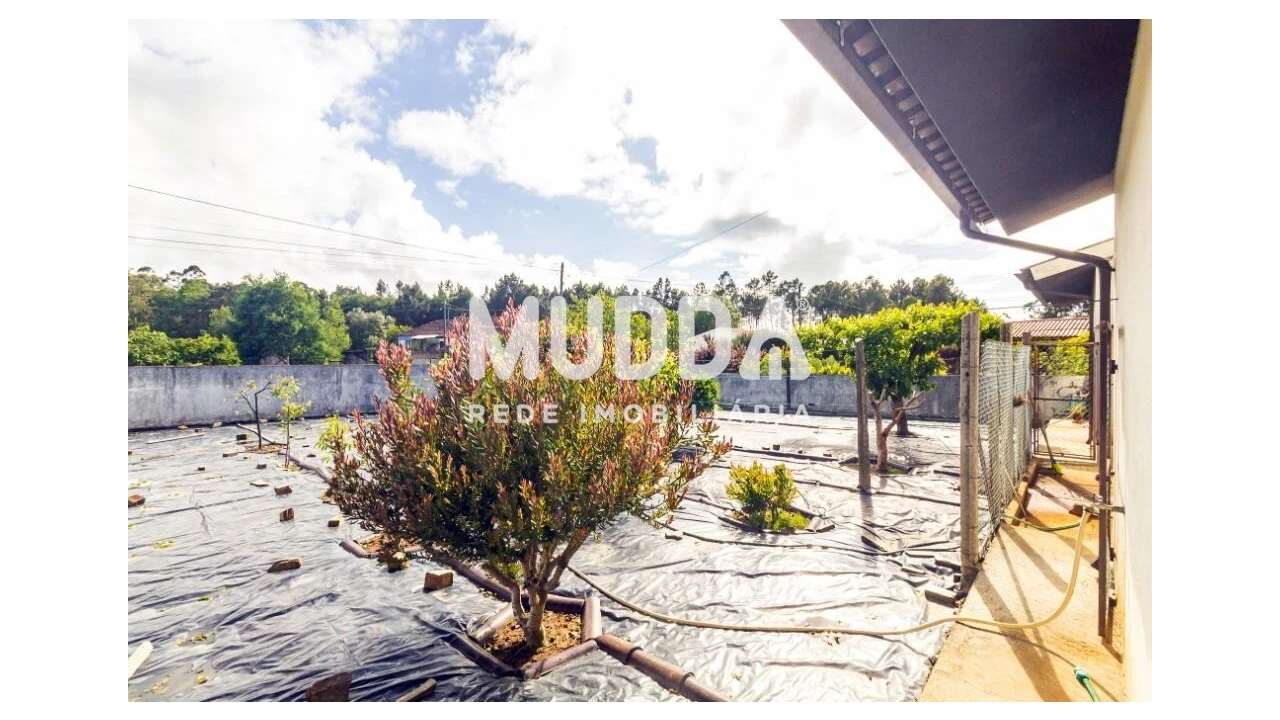 Moradia T4 para Venda em Ovar, São João, Arada e São Vicente de Pereira Jusã Foto 47