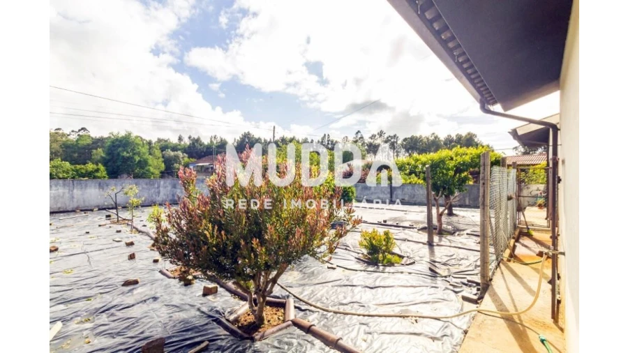 Moradia T4 para Venda em Ovar, São João, Arada e São Vicente de Pereira Jusã Foto 47